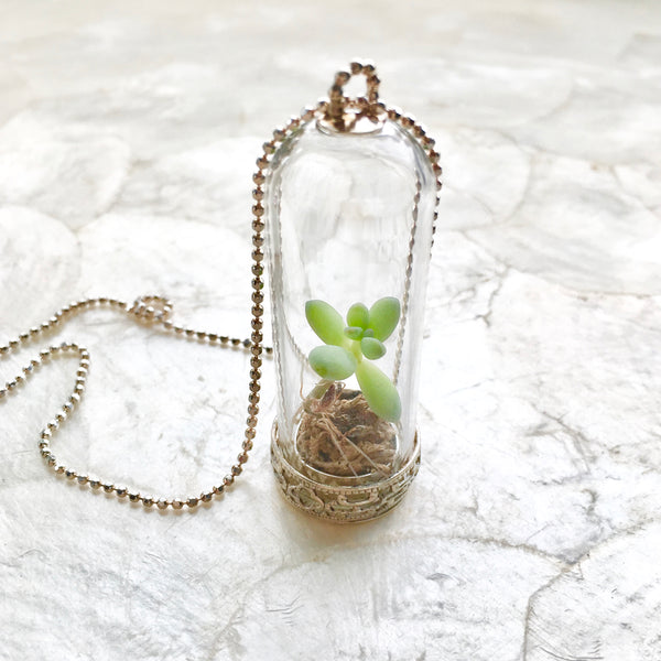 Live on sale cactus necklace